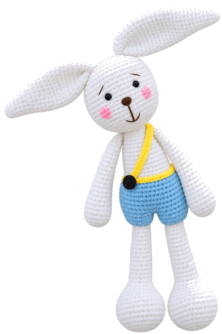 Long-Eared Bunny